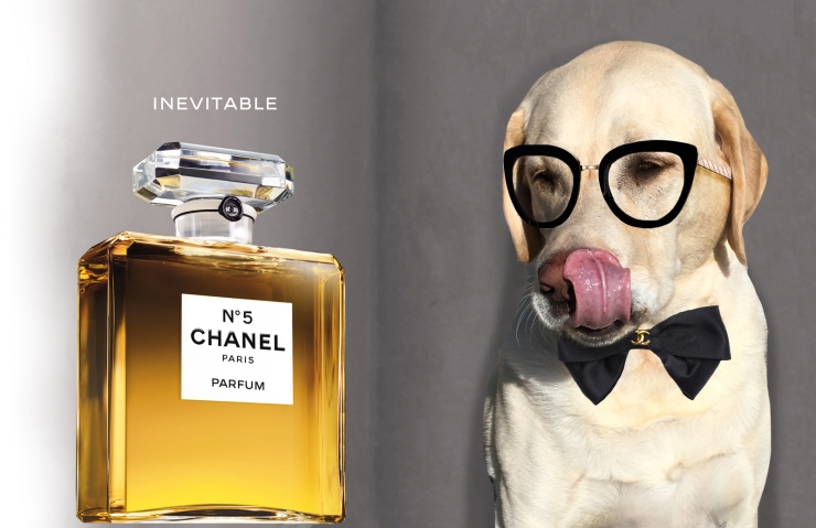 Marilyn Monroe Chanel No. 5 Perfume Advert